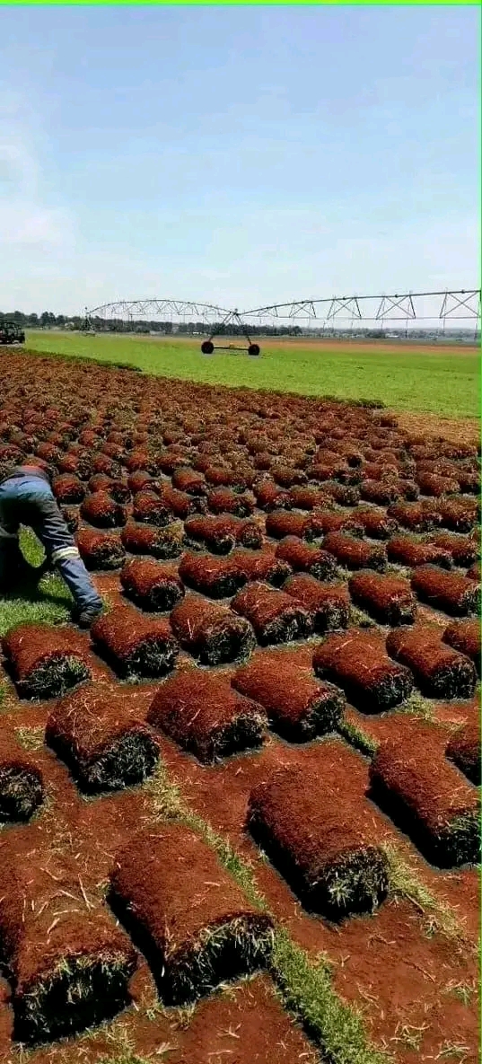 1773879702271